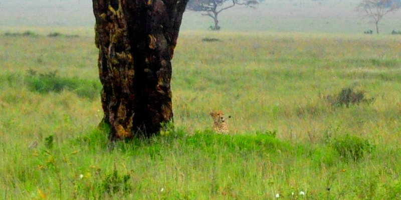 Melanie Heinrich Travel Images Africa